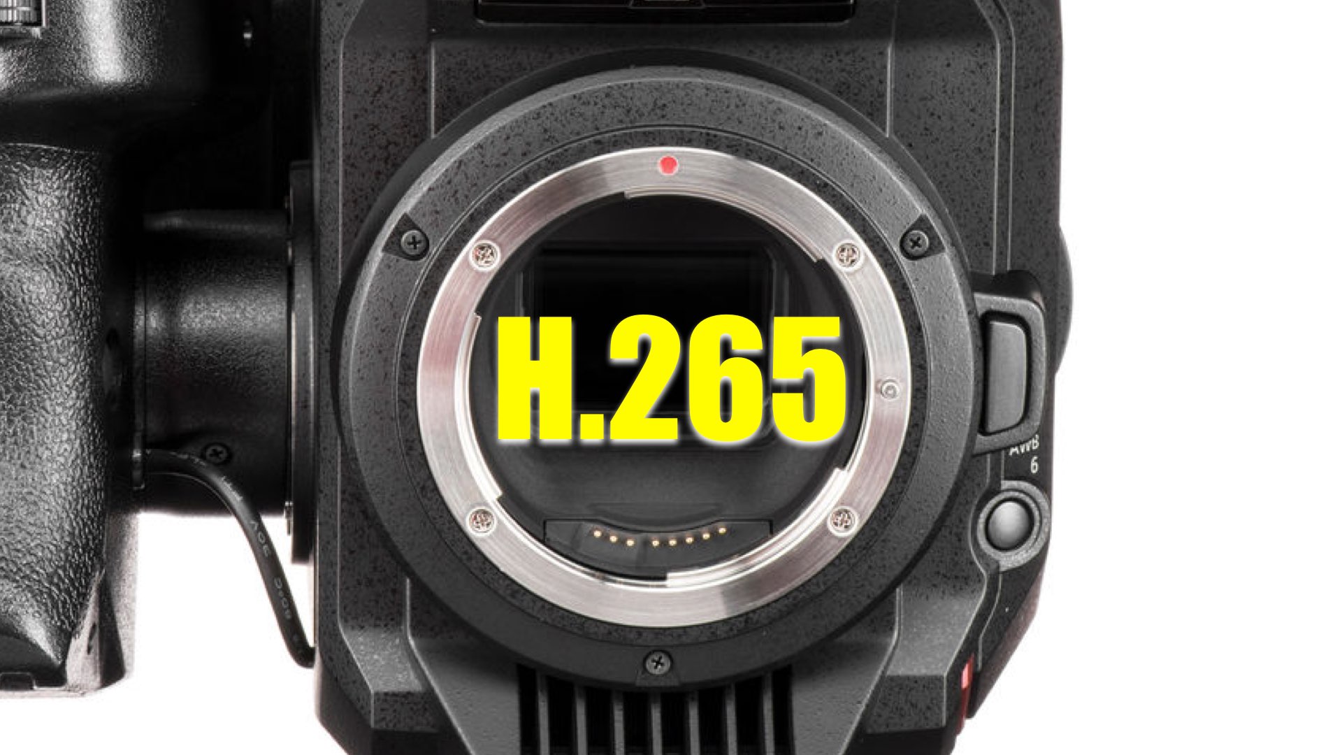 HEVC/H.265 codec in the Panasonic EVA-1