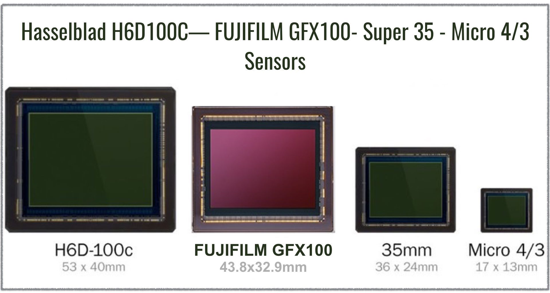 Hasselblad H6D100C— FUJIFILM GFX100- Super 35 - Micro 4/3 Sensors