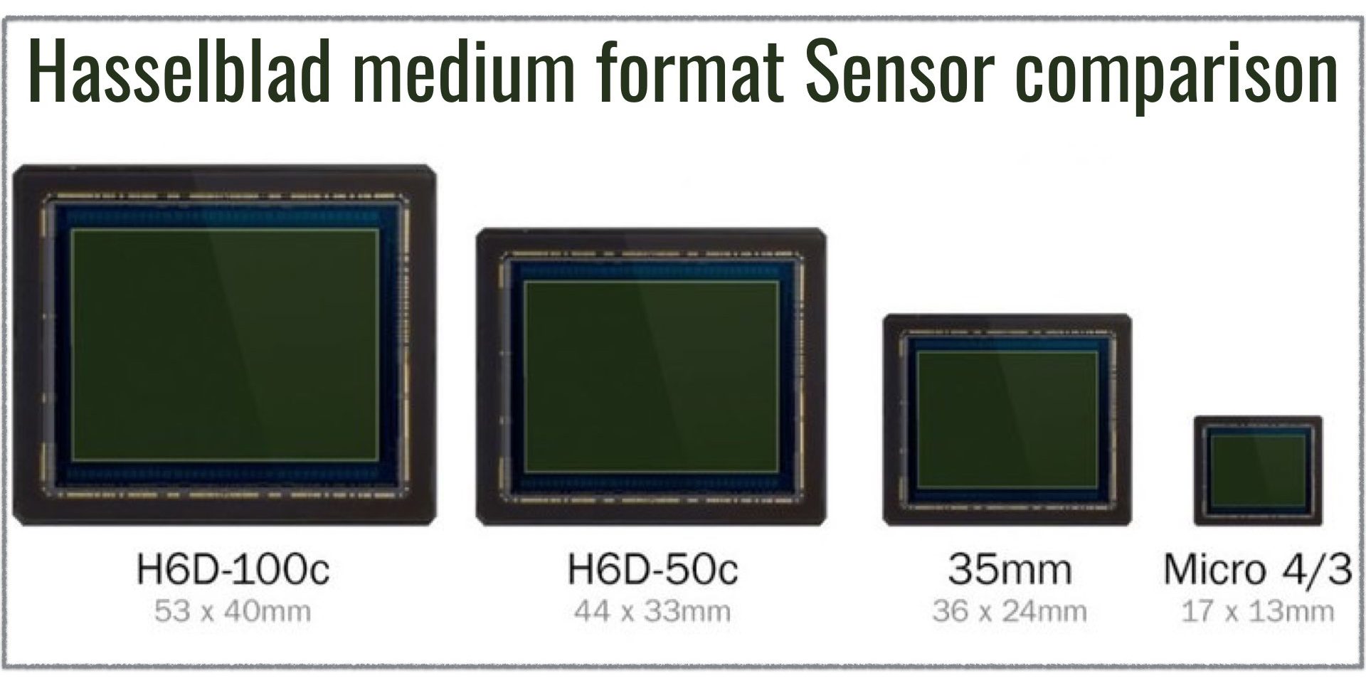 Medium format sensor comparison