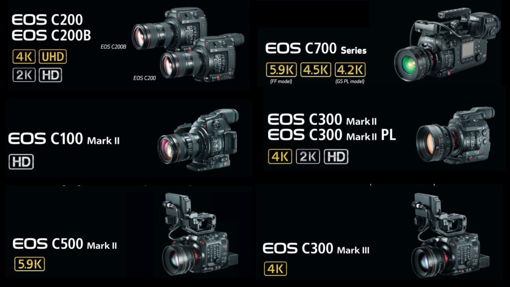 The Canon Cinema EOS family. 