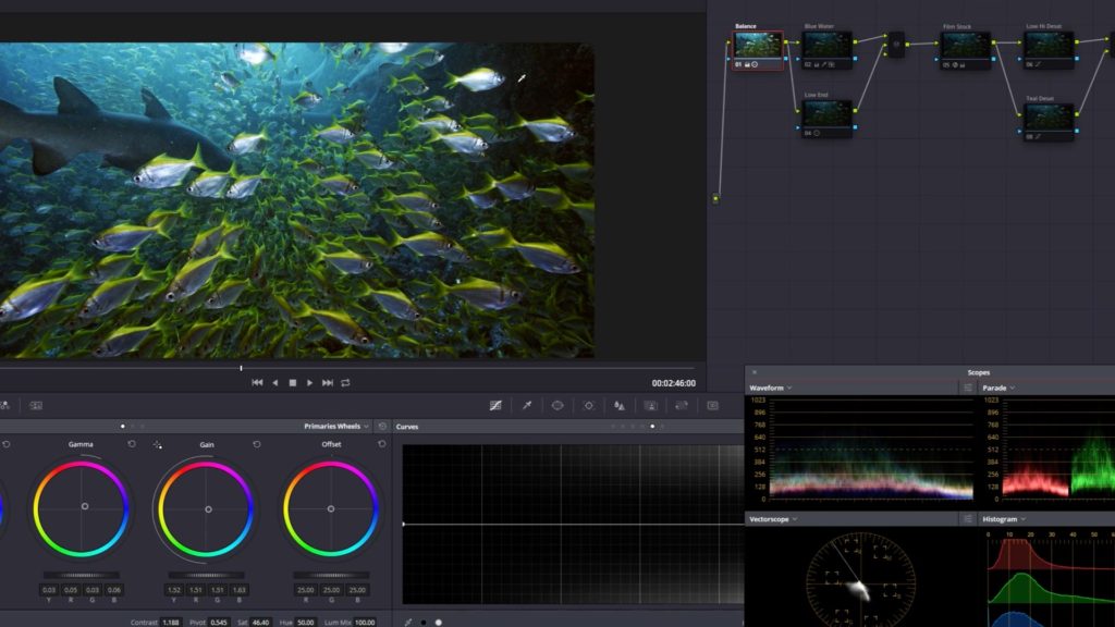 Grading the EVA1 ProRes RAW underwater footage on Resolve