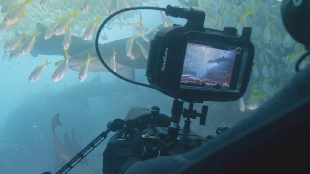 Filming underwater with the Panasonic EVA1 and Atomos Shogun recorder
