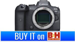 Buy the Canon EOS R6 Mirrorless Digital Camera