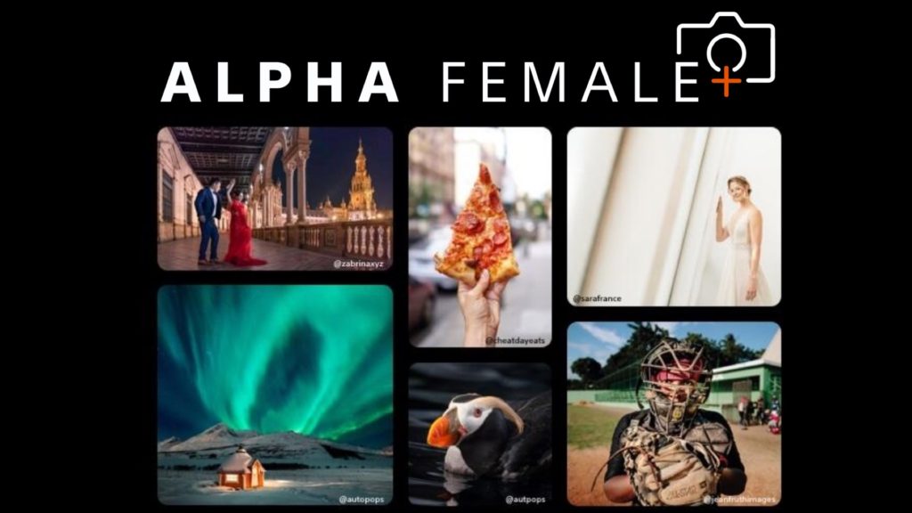 Alpha Female+ program