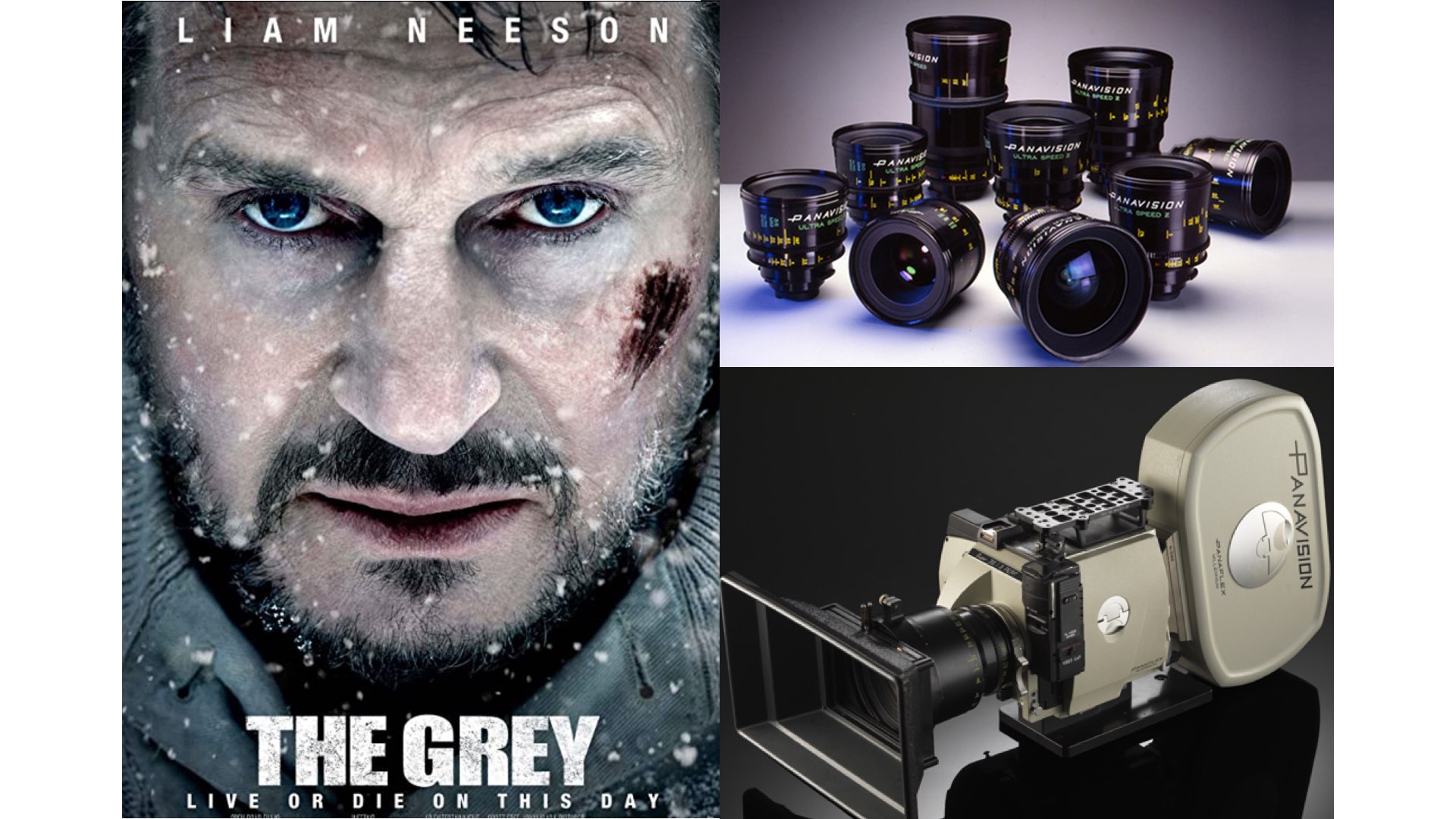 “The Grey” (2011): Cinematography Pushed to the Limit