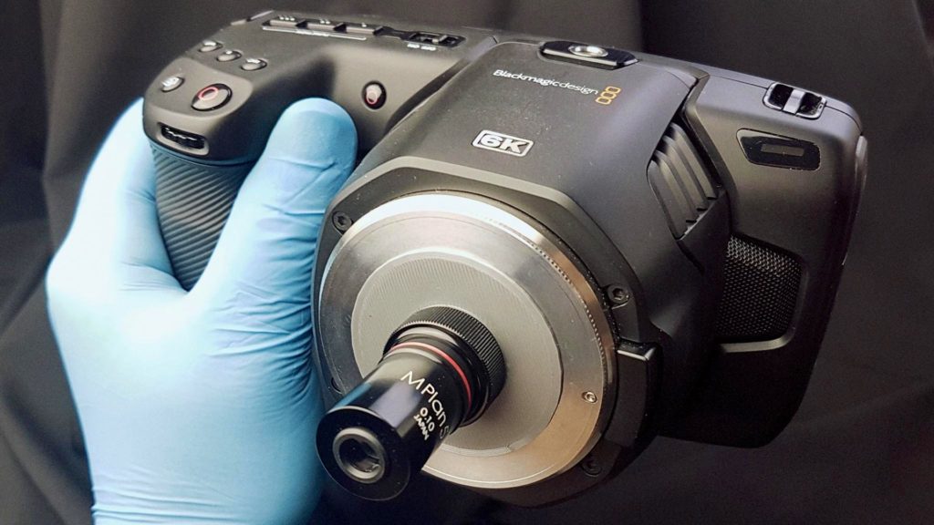 Blackmagic Pocket 6k with 5x microscope lens. Image: Daniel Schweinert