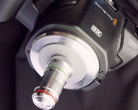 Blackmagic Pocket 6k with Zeiss 16x microscope lens. Image: Daniel Schweinert