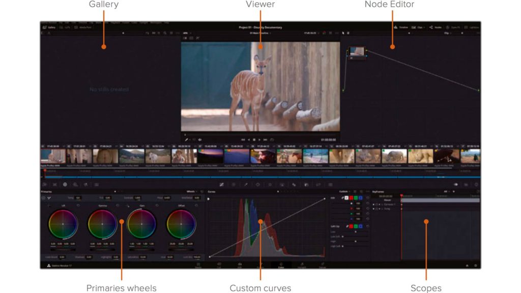 DaVinci Resolve 17 main color interface. Image from the official guide.