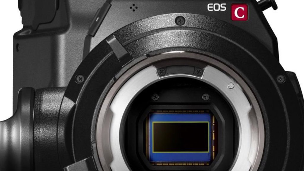 The Canon EOS C300 Mark II - PL mount