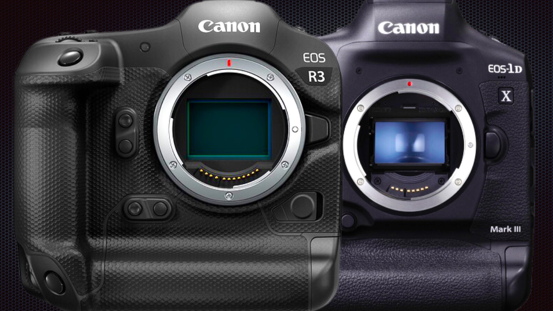 EOS R3 Could be Canon’s New Flagship, Says Canon Chief Executive