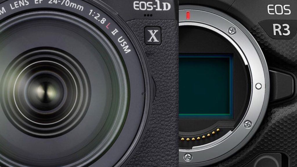 Canon EOS-1D X Mark III and EOS R3