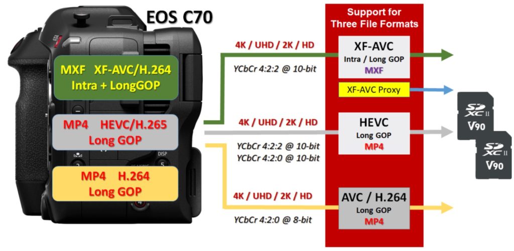 Canon EOS C70: Codecs
