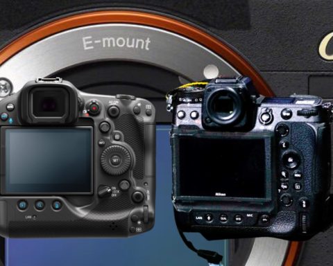 Can Sony Alpha 1 Be Beaten by Canon EOS R3 and Nikon Z 9?