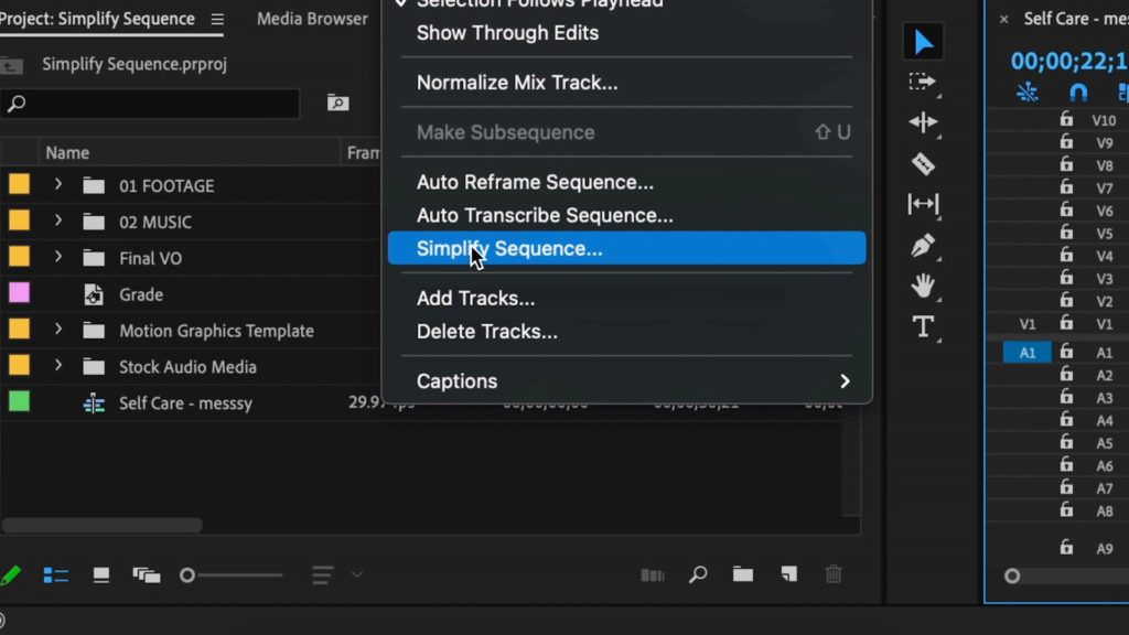 Premiere Pro: Simplify Sequence feature