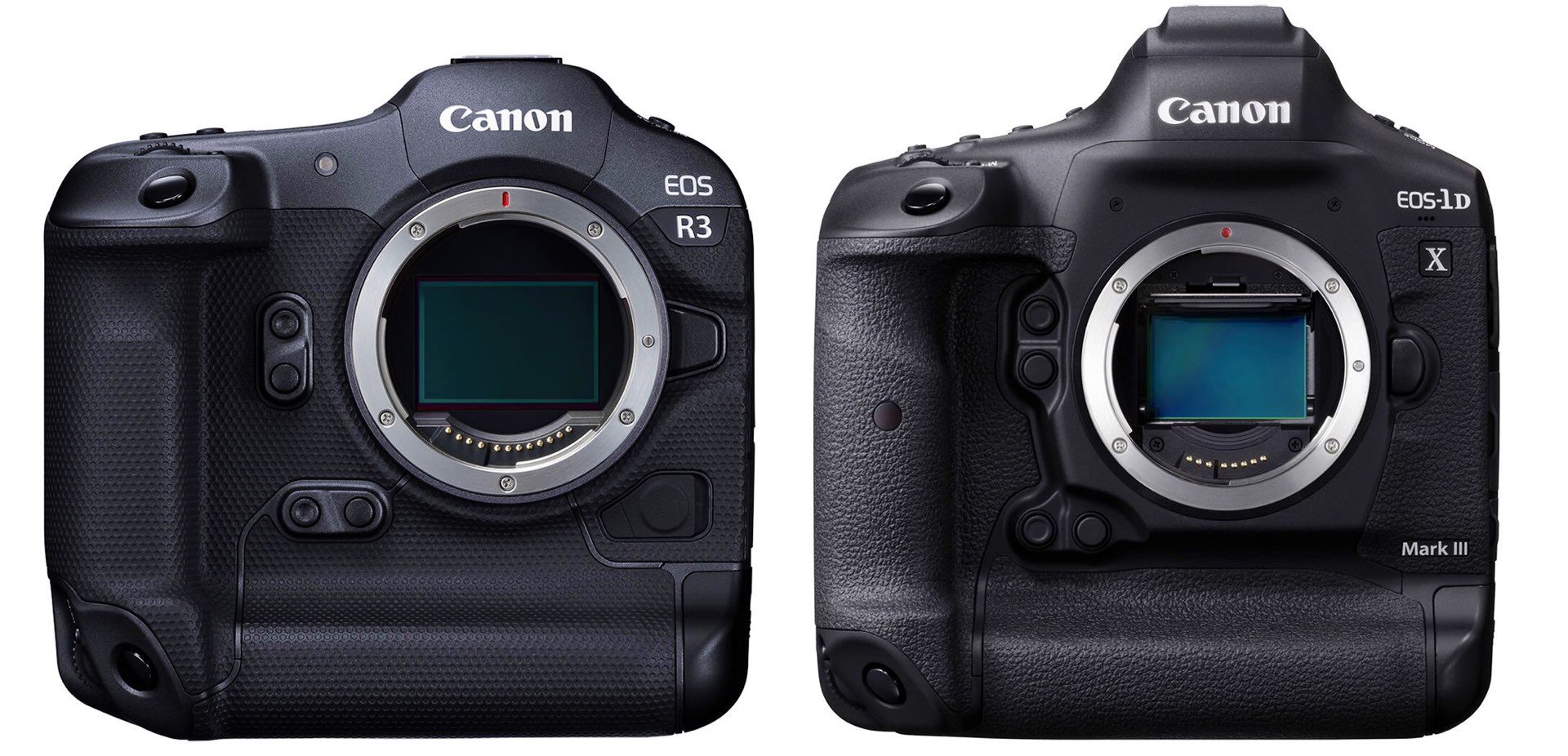 Canon EOS R3 and 1D X Mark III