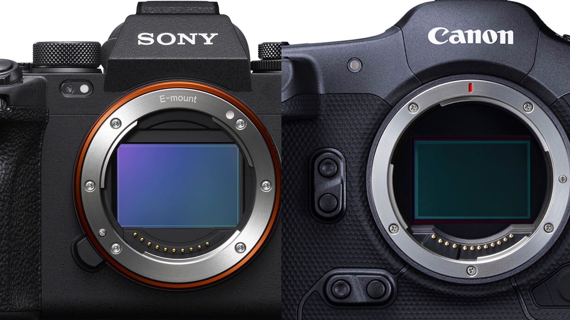 Sony vs. Canon