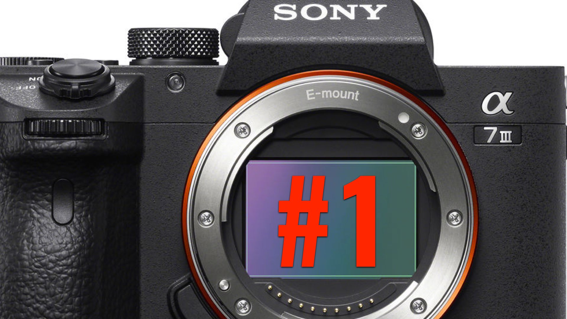 Sony Alpha 7 III is the Most Popular Full-Frame Mirrorless