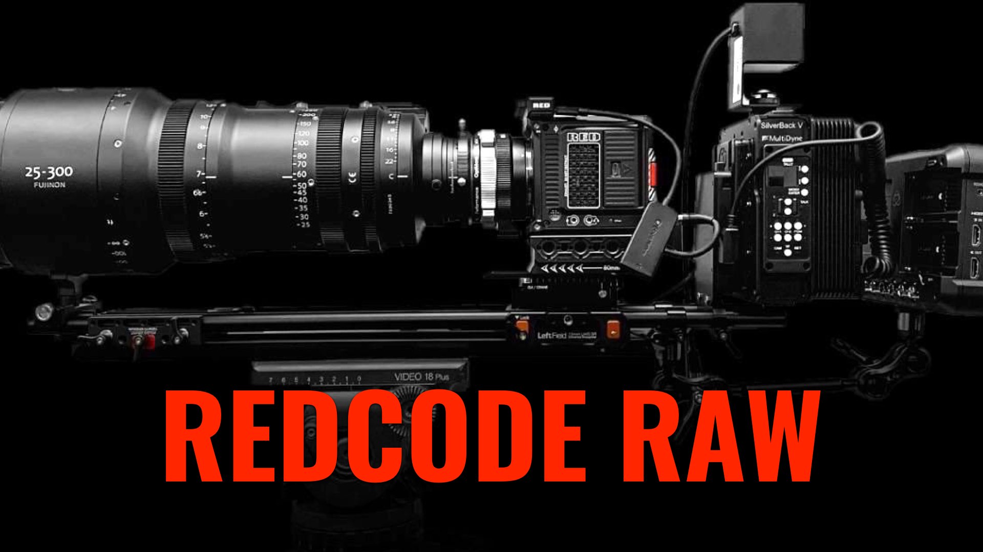 REDCODE RAW- Evolution (DSMC2 to DSMC3) and Future.001