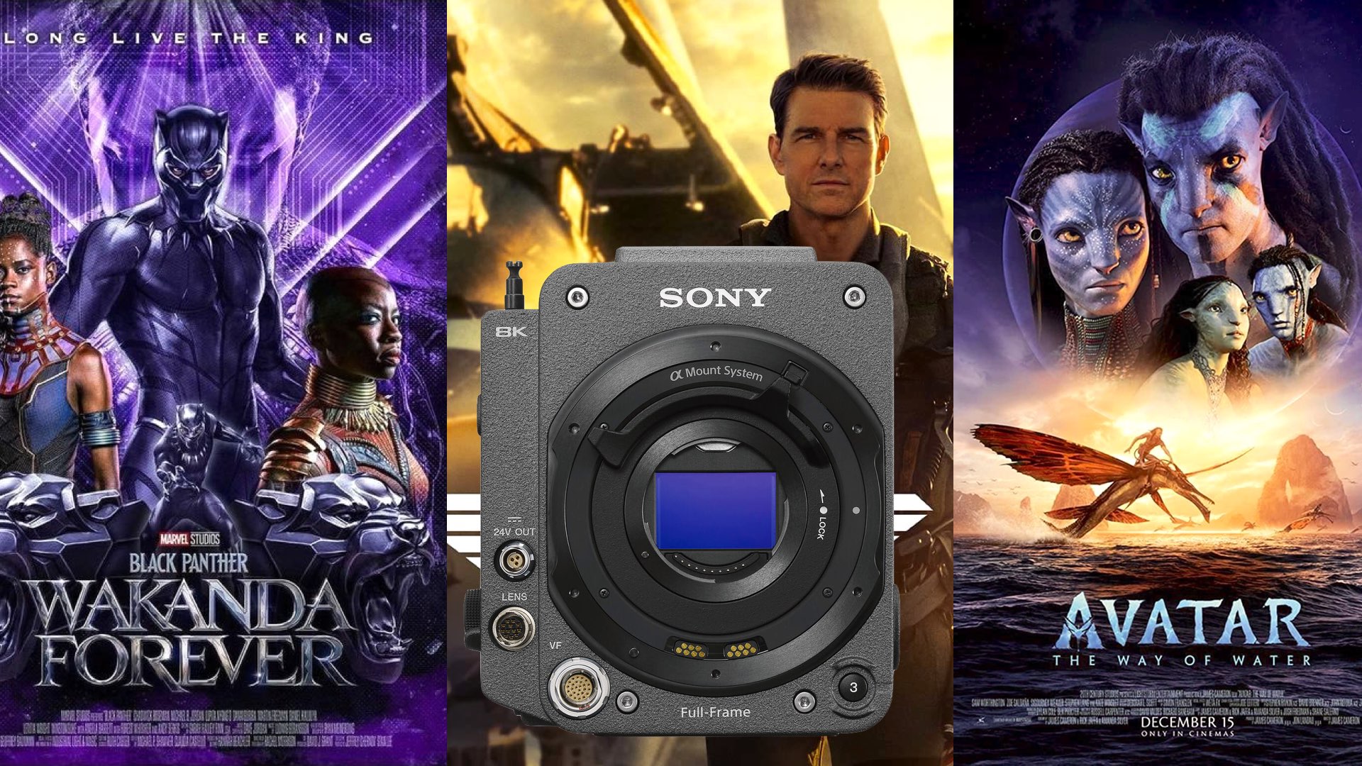 2022- The Year of the Sony VENICE