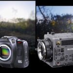 BMCC6K Vs. Sony BURANO 8.6K: Can You Notice the Differences?