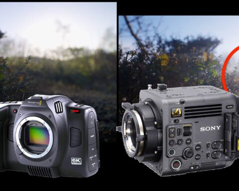 BMCC6K Vs. Sony BURANO 8.6K: Can You Notice the Differences?