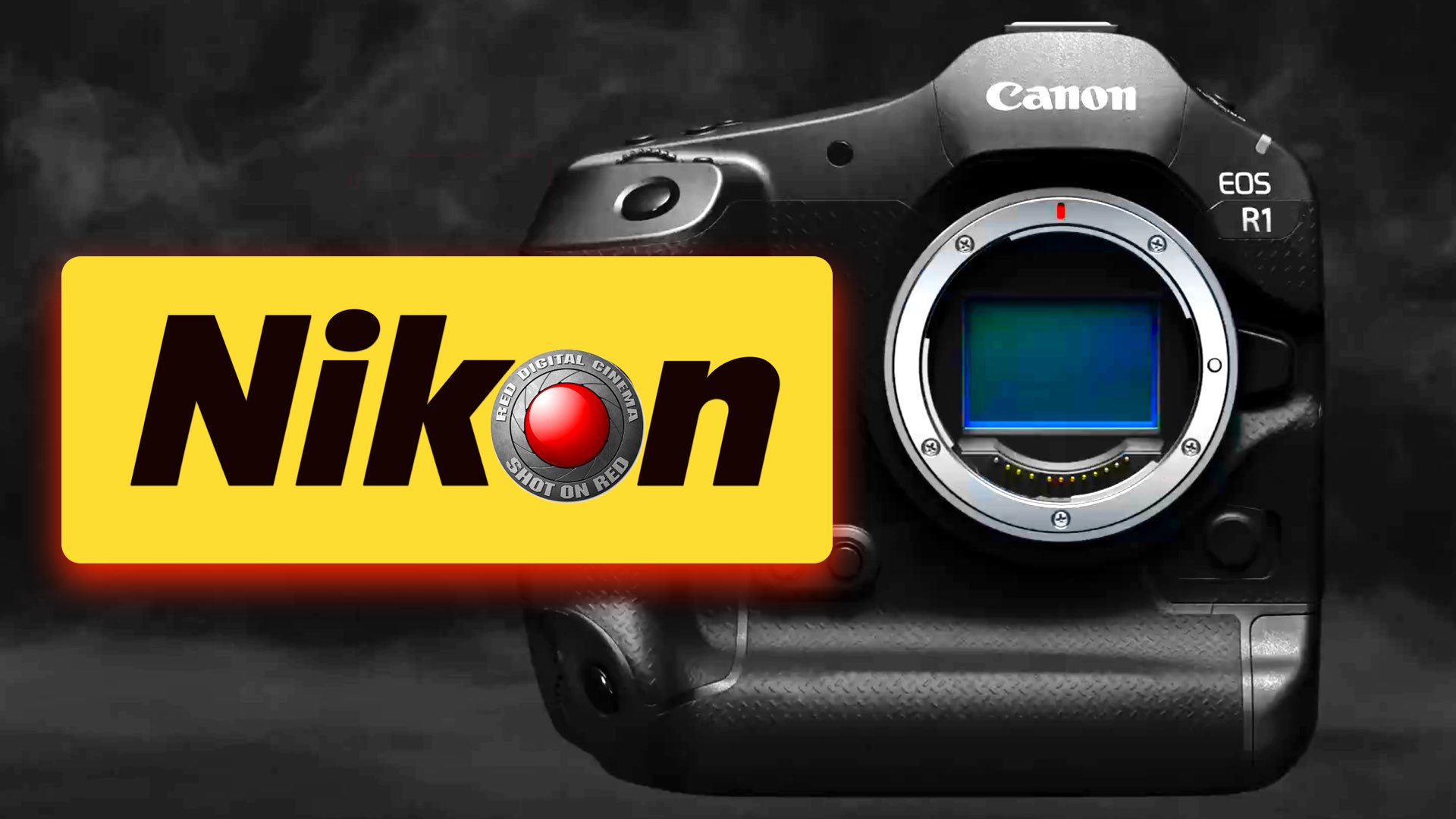 Canon Needs a Bonanza to Fight Nikon